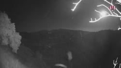 Webcams