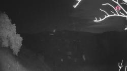 Webcams