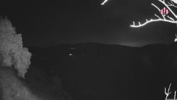 Webcams