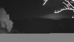 Webcams
