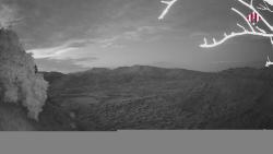 Webcams