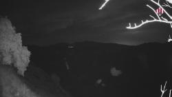 Webcams