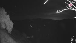 Webcams