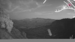 Webcams
