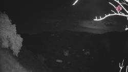 Webcams