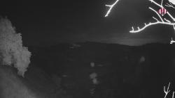 Webcams