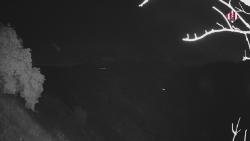 Webcams