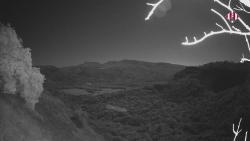 Webcams