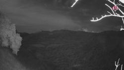 Webcams