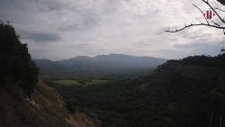 Webcams