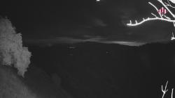 Webcams