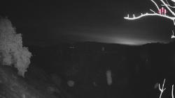 Webcams