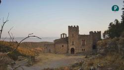 Webcams