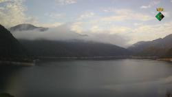 Webcams