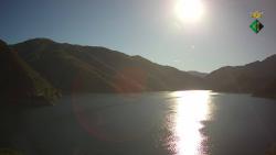 Webcams