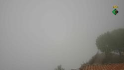 Webcams