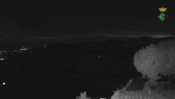 Webcams