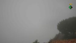 Webcams