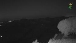 Webcams