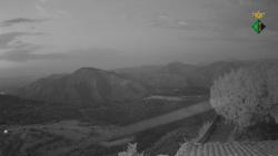Webcams