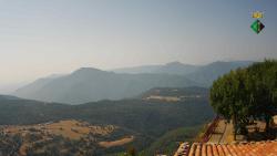 Webcams