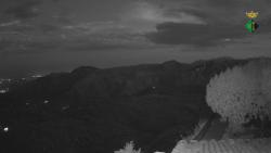 Webcams
