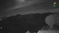 Webcams