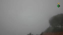 Webcams