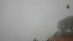 Webcams