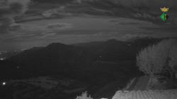Webcams