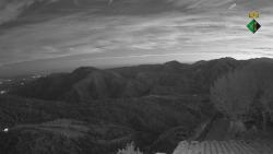 Webcams