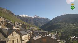 Webcams
