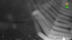 Webcams
