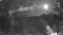 Webcams