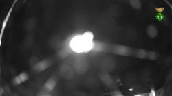 Webcams