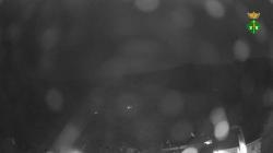 Webcams