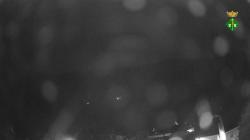 Webcams