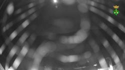 Webcams