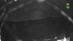 Webcams