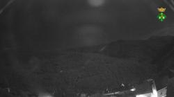 Webcams