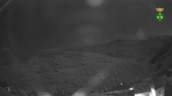 Webcams