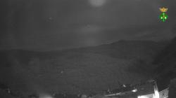 Webcams