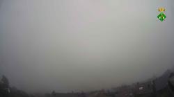 Webcams