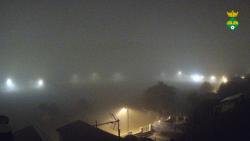 Webcams