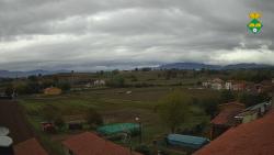 Webcams