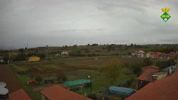 Webcams