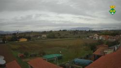 Webcams