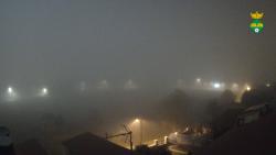 Webcams