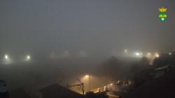 Webcams