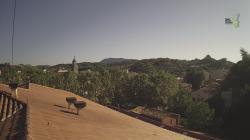Webcams